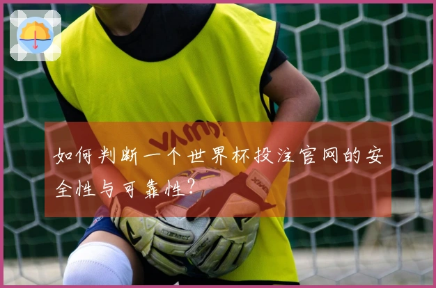 如何判断一个世界杯投注官网的安全性与可靠性？